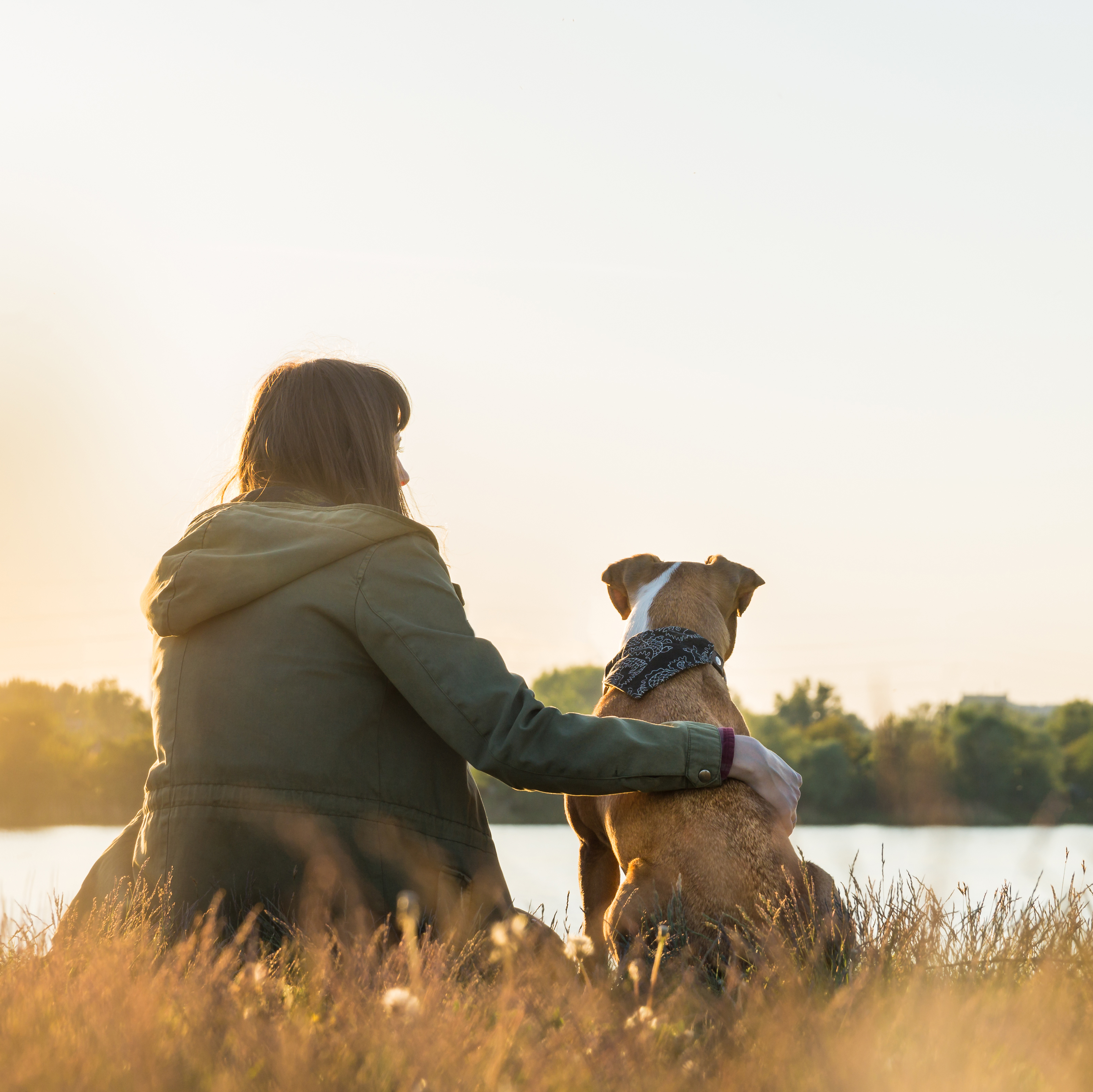 Pet Cremation Services Pet Cremation Services